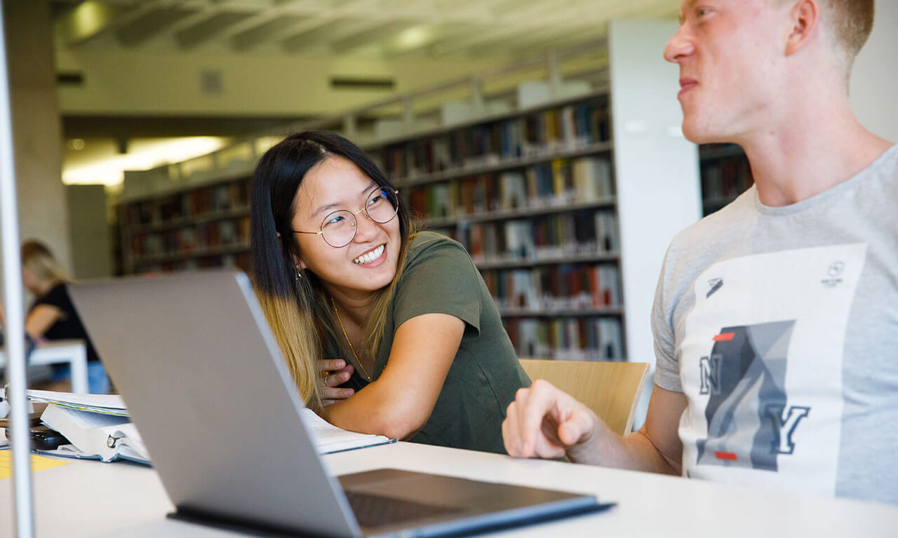 Students working in the library